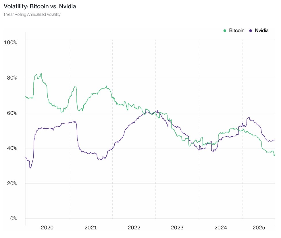 Green and purple line graph representing the volatility of bitcoin and Nvidia.