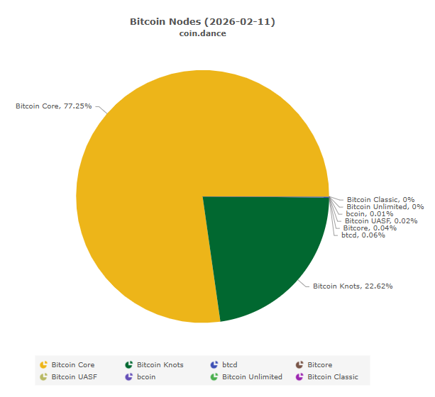 Pie chart expressing the distribution of Bitcoin nodes.