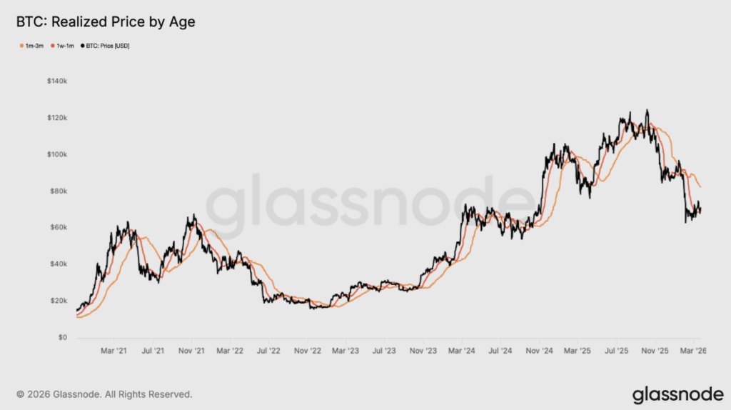 Chart showing the price of bitcoin and majority purchase levels by various cohorts of investors.