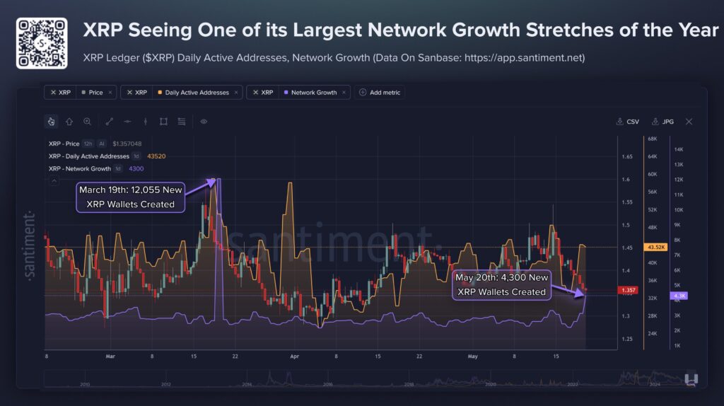 Santiment chart showing price, new XRP wallets.
